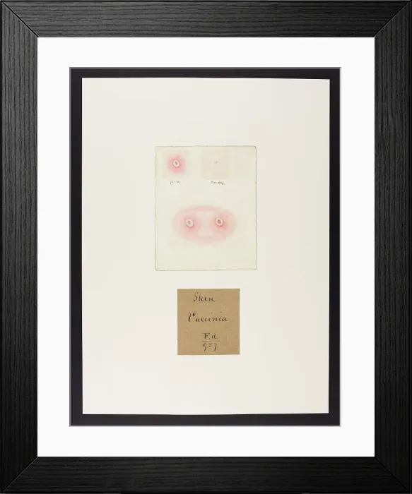 Framed Print : 13741936 Framed Print : 13741936