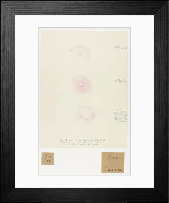 Framed Print : 13741943 Framed Print : 13741943