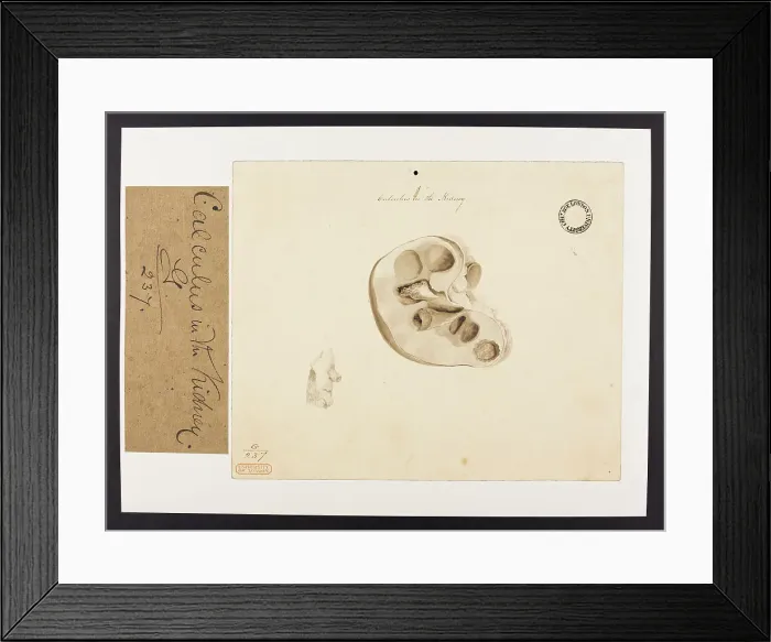 Framed Print : 13741952 Framed Print : 13741952