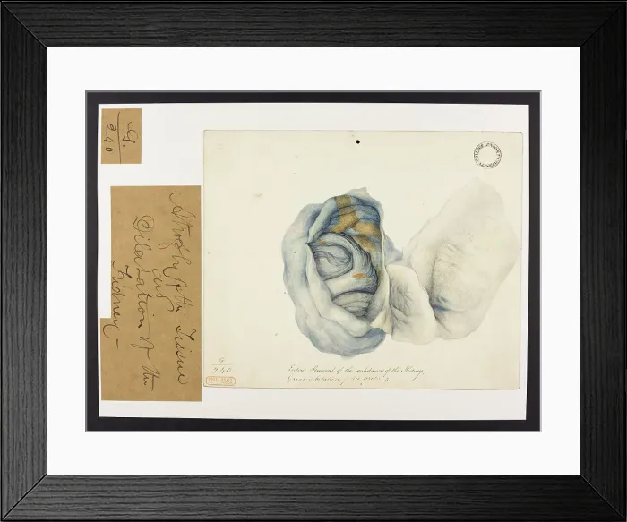 Framed Print : 13741953 Framed Print : 13741953