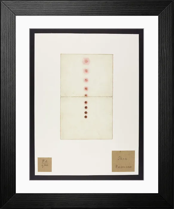 Framed Print : 13741939 Framed Print : 13741939