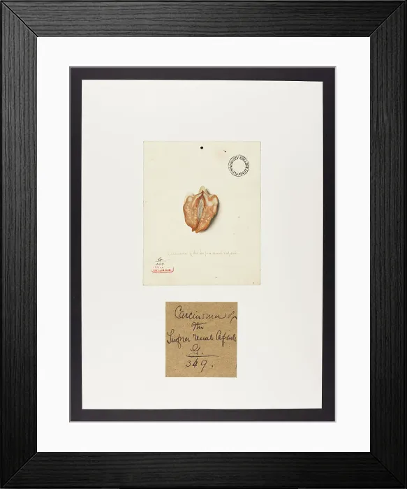 Framed Print : 13741959 Framed Print : 13741959
