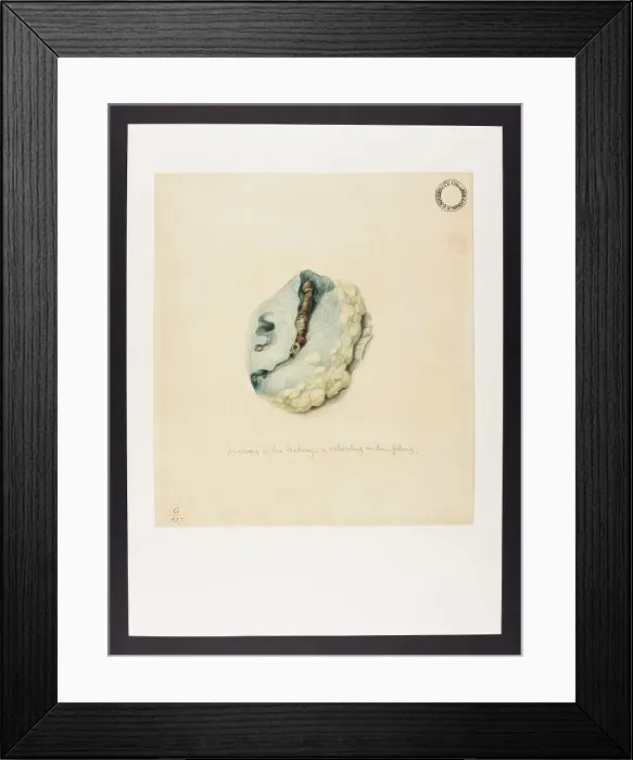Framed Print : 13741963 Framed Print : 13741963