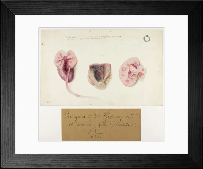 Framed Print : 13741970 Framed Print : 13741970