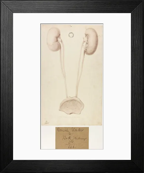 Framed Print : 13741973 Framed Print : 13741973