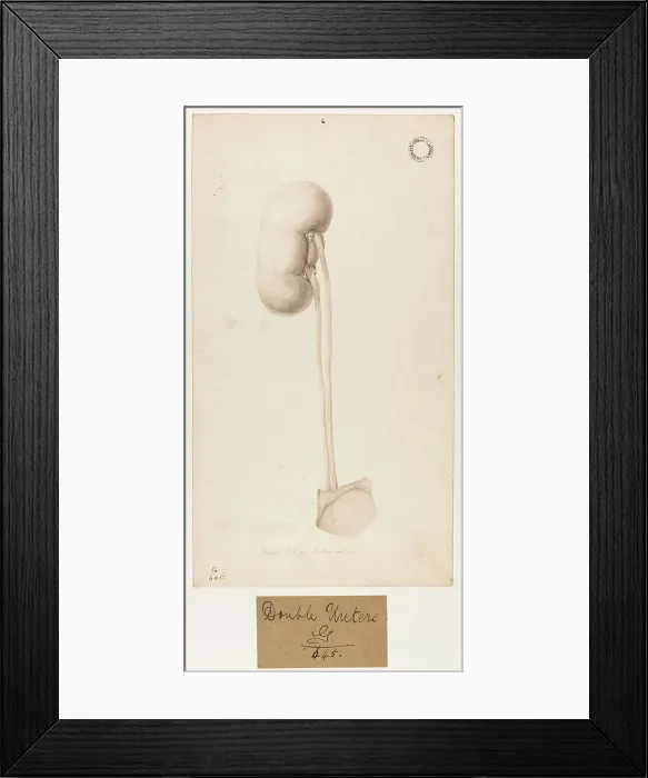 Framed Print : 13741972 Framed Print : 13741972