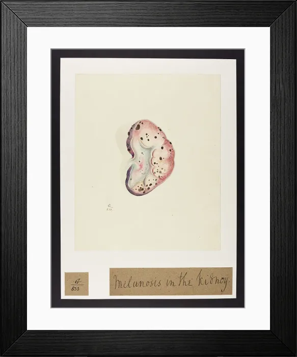 Framed Print : 13741977 Framed Print : 13741977