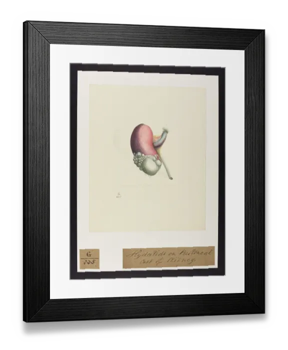 Framed Print : 13741979 Framed Print : 13741979