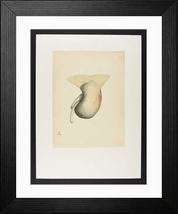 Framed Print : 13741978 Framed Print : 13741978