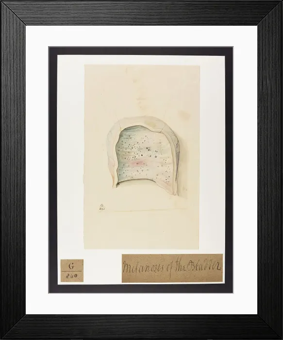Framed Print : 13741984 Framed Print : 13741984