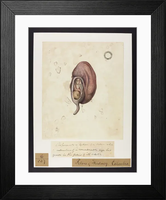 Framed Print : 13741981 Framed Print : 13741981