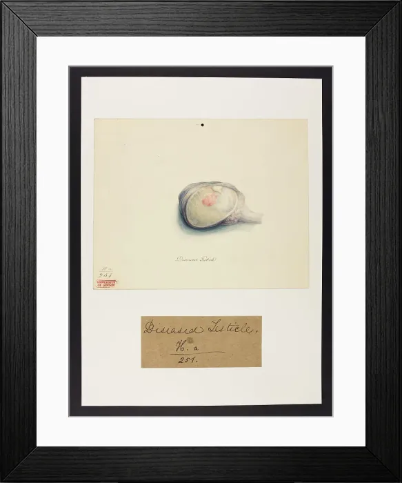 Framed Print : 13741993 Framed Print : 13741993