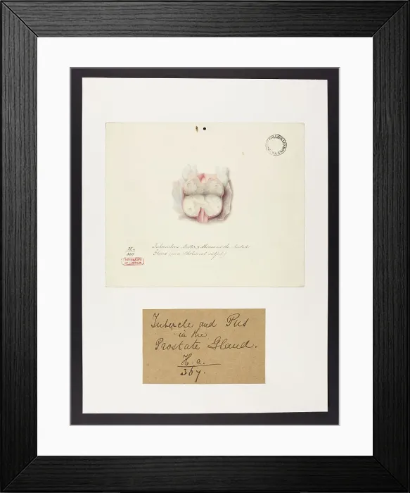 Framed Print : 13741998 Framed Print : 13741998