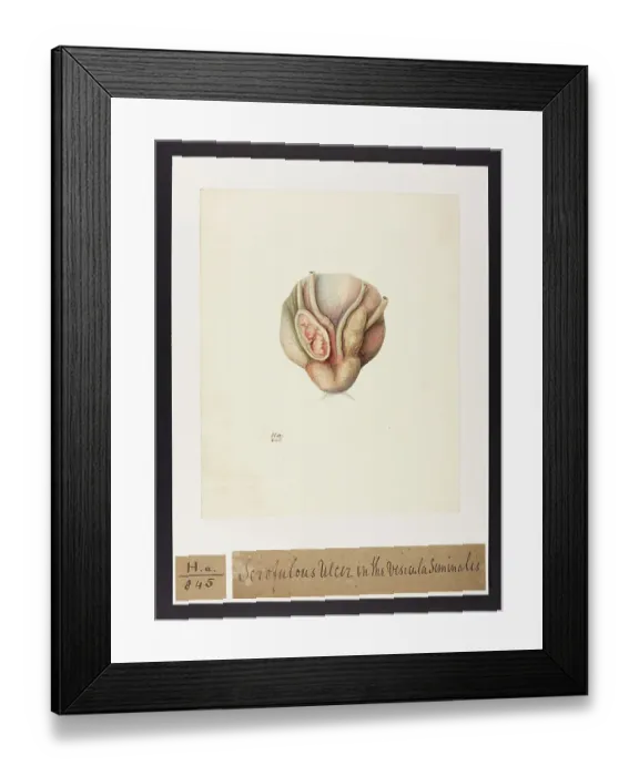 Framed Print : 13742002 Framed Print : 13742002
