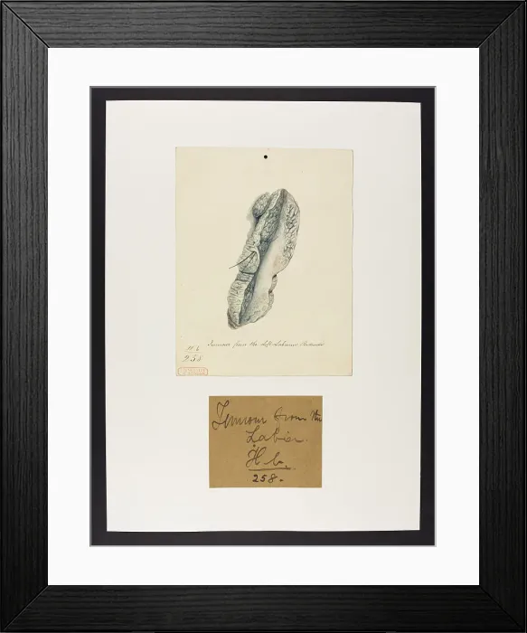 Framed Print : 13742008 Framed Print : 13742008