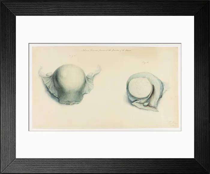 Framed Print : 13742009 Framed Print : 13742009
