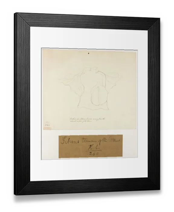 Framed Print : 13742010 Framed Print : 13742010