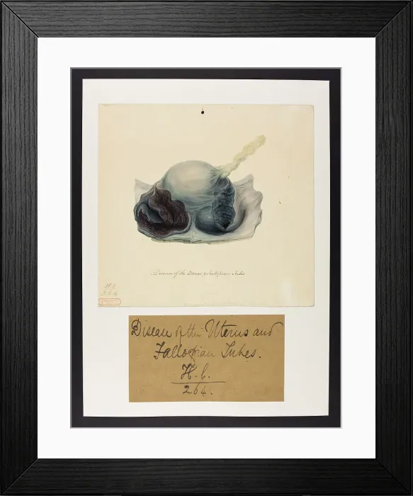 Framed Print : 13742014 Framed Print : 13742014