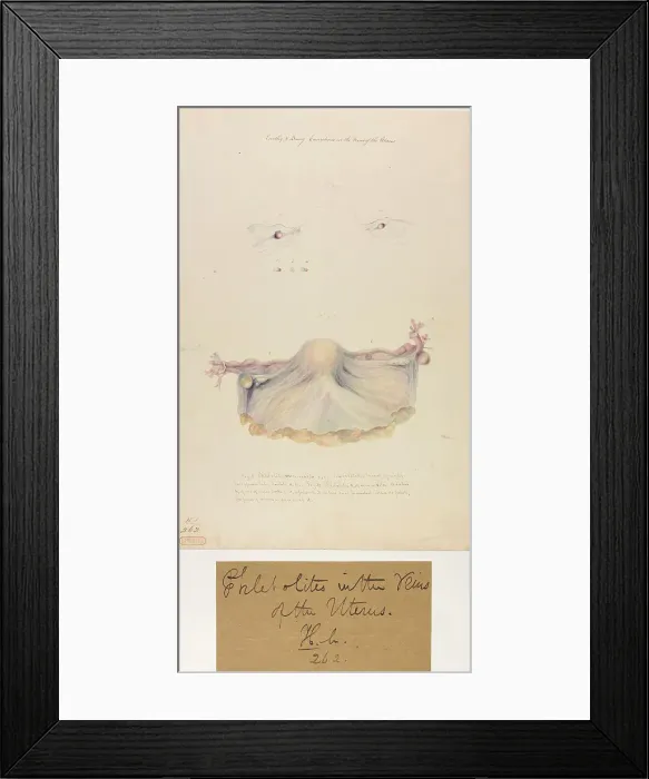 Framed Print : 13742012 Framed Print : 13742012