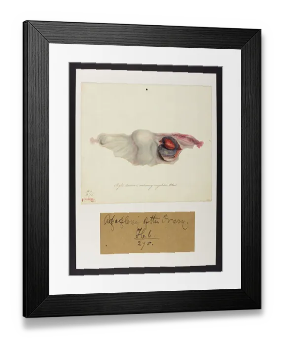Framed Print : 13742018 Framed Print : 13742018
