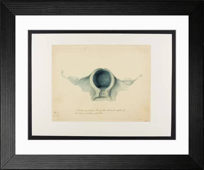 Framed Print : 13742015 Framed Print : 13742015