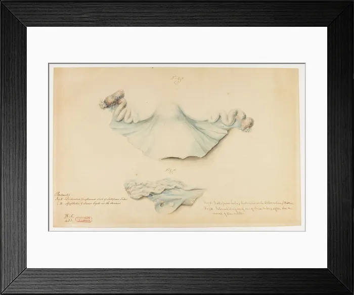 Framed Print : 13742027 Framed Print : 13742027