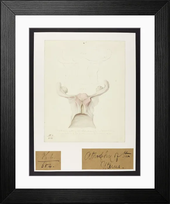 Framed Print : 13742039 Framed Print : 13742039