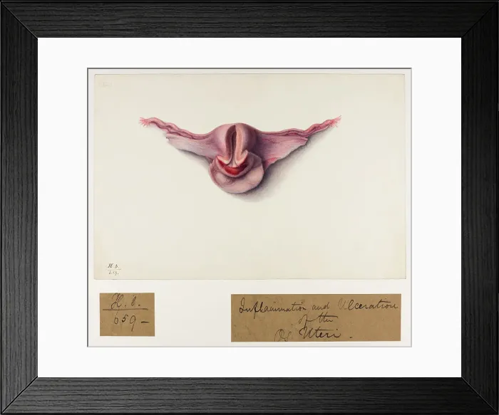 Framed Print : 13742040 Framed Print : 13742040