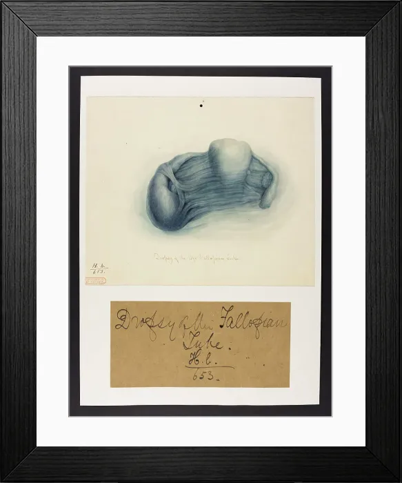 Framed Print : 13742038 Framed Print : 13742038