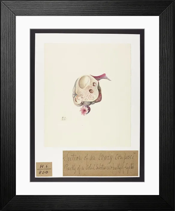 Framed Print : 13742042