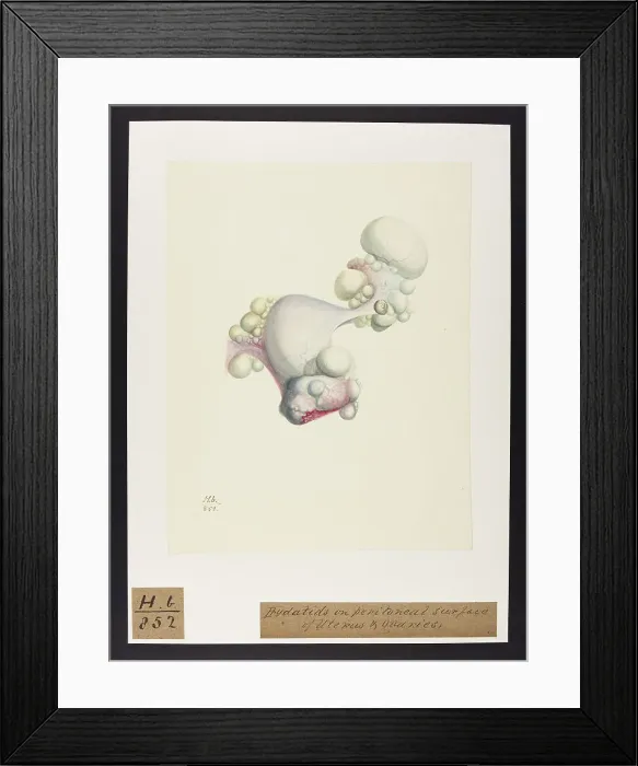 Framed Print : 13742044 Framed Print : 13742044