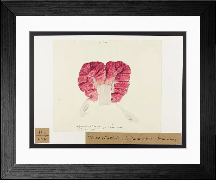 Framed Print : 13742058 Framed Print : 13742058