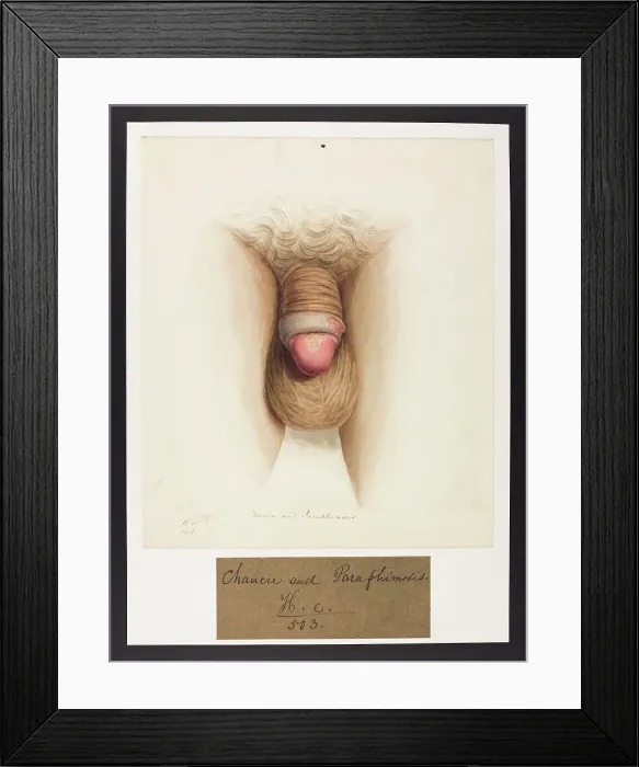 Framed Print : 13742060 Framed Print : 13742060
