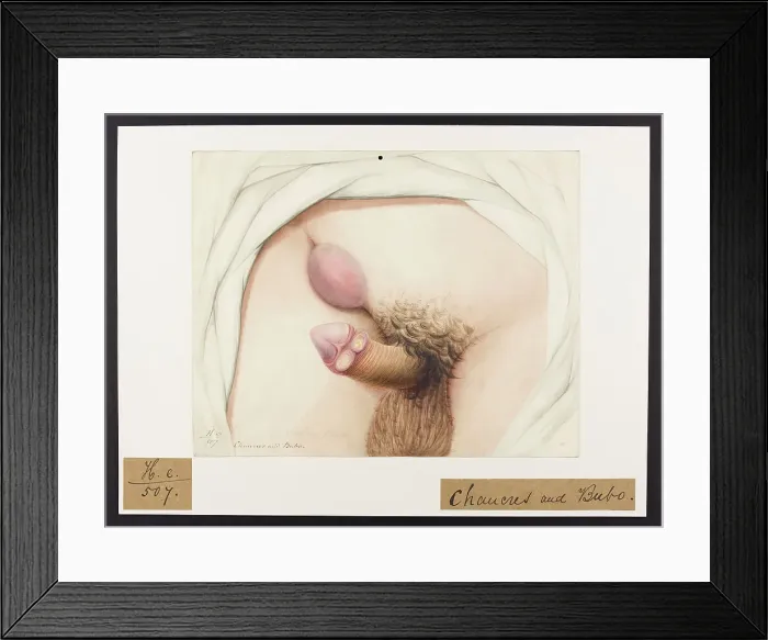 Framed Print : 13742064 Framed Print : 13742064