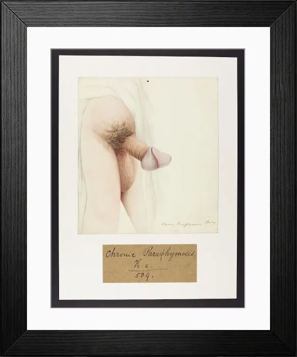 Framed Print : 13742066 Framed Print : 13742066