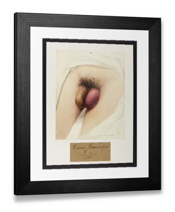 Framed Print : 13742068 Framed Print : 13742068