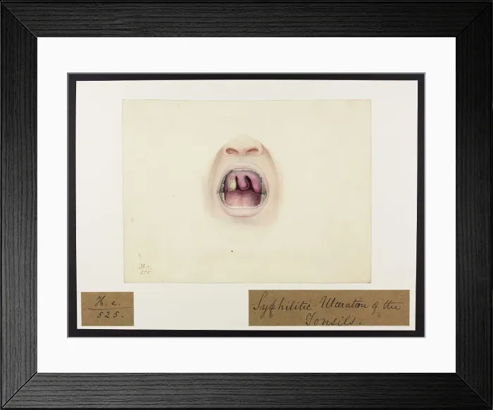 Framed Print : 13742075 Framed Print : 13742075