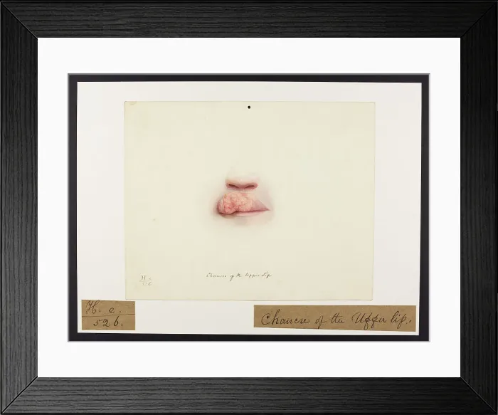 Framed Print : 13742076 Framed Print : 13742076