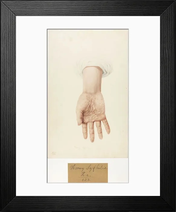 Framed Print : 13742073 Framed Print : 13742073