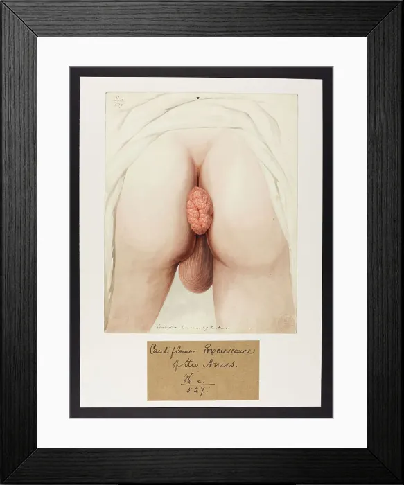 Framed Print : 13742077 Framed Print : 13742077