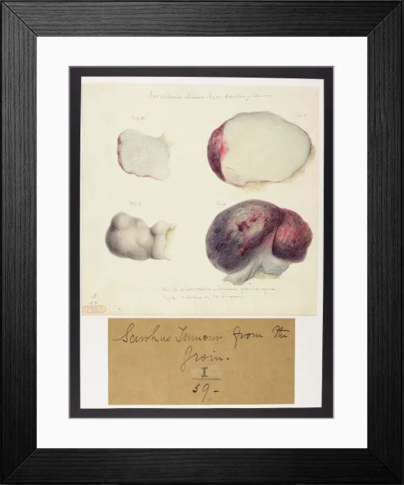 Framed Print : 13742081 Framed Print : 13742081