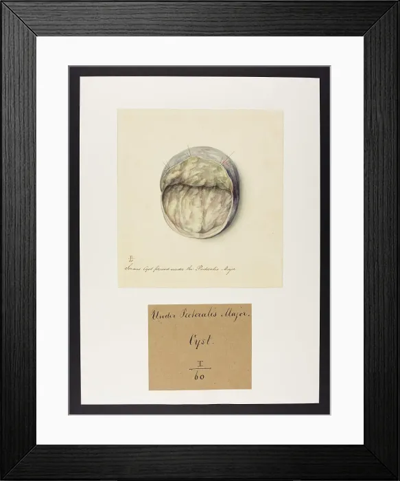 Framed Print : 13742082 Framed Print : 13742082