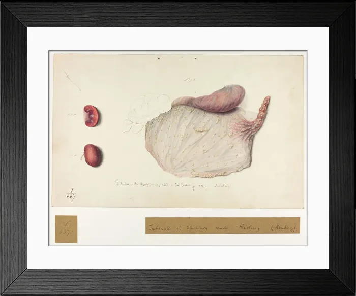Framed Print : 13742085 Framed Print : 13742085