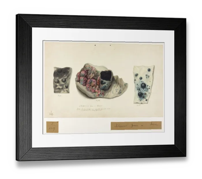 Framed Print : 13742086 Framed Print : 13742086