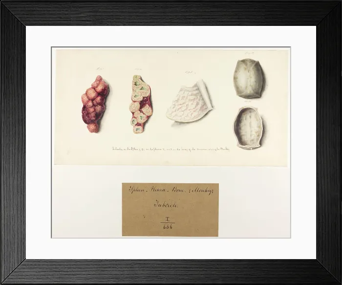 Framed Print : 13742084 Framed Print : 13742084