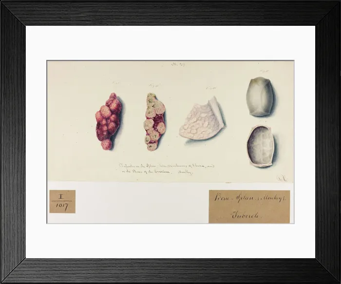 Framed Print : 13742091
