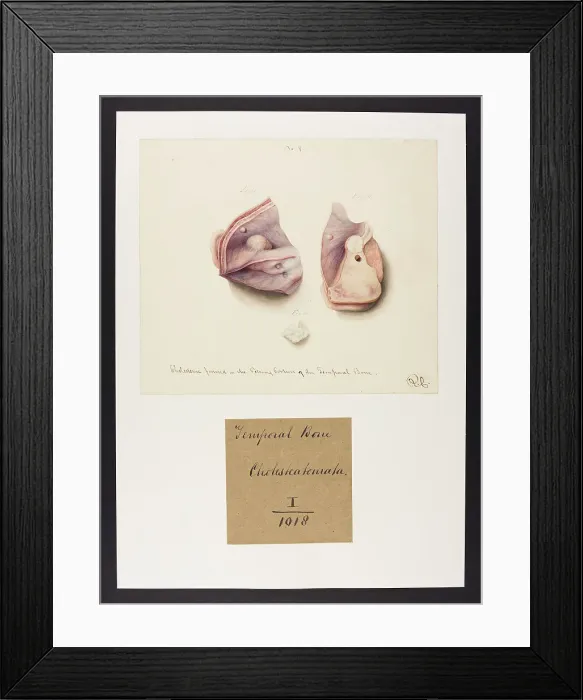 Framed Print : 13742092 Framed Print : 13742092