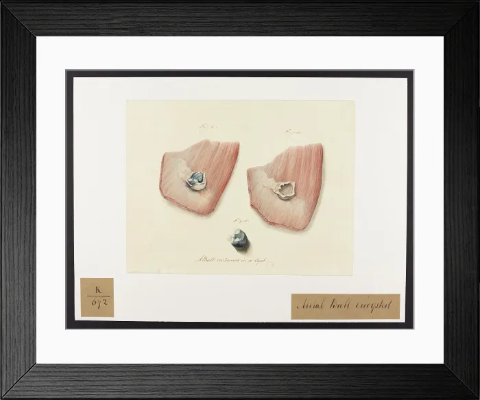Framed Print : 13742095 Framed Print : 13742095