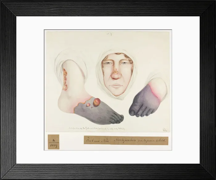 Framed Print : 13742096 Framed Print : 13742096