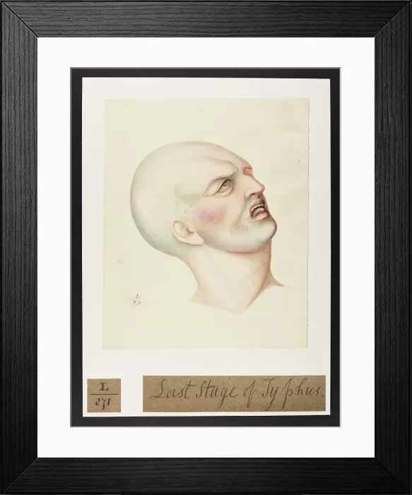 Framed Print : 13742100 Framed Print : 13742100